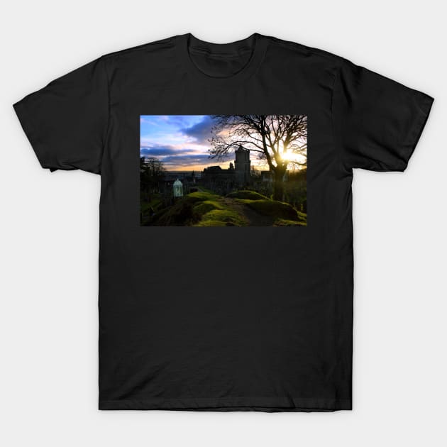 Magical Graveyard T-Shirt by chiaravisuals